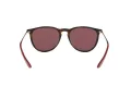 Ray-Ban Erika Sonnenbrille RB 4171 6391/75