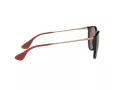 Ray-Ban Erika Sonnenbrille RB 4171 6391/75