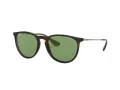 Ray-Ban Erika Sonnenbrille RB 4171 6393/2