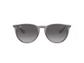 Ray-Ban Erika Sonnenbrille RB 4171 6513/8G