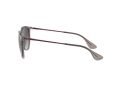Ray-Ban Erika Sonnenbrille RB 4171 6513/8G