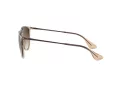 Ray-Ban Erika Sonnenbrille 4171 651413