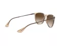 Ray-Ban Erika Sonnenbrille 4171 651413