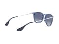 Ray-Ban Erika Sonnenbrille RB 4171 6515/4L