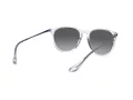 Ray-Ban Erika Sonnenbrille RB 4171 651611