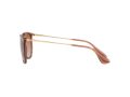 Ray-Ban Erika Sonnenbrille RB 4171 6590/13