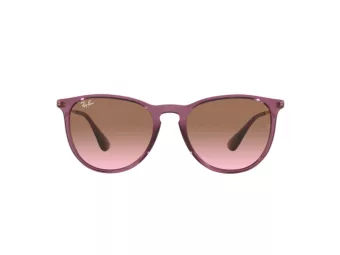 Ray-Ban Erika Sonnenbrille RB 4171 6591/14