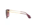 Ray-Ban Erika Sonnenbrille RB 4171 6591/14
