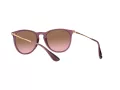 Ray-Ban Erika Sonnenbrille RB 4171 6591/14