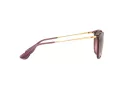 Ray-Ban Erika Sonnenbrille RB 4171 6591/14