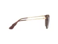 Ray-Ban Erika Sonnenbrille RB 4171 6593/T5
