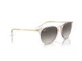 Ray-Ban Erika Sonnenbrille RB 4171 674211