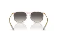 Ray-Ban Erika Sonnenbrille RB 4171 674211