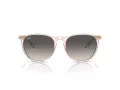 Ray-Ban Erika Sonnenbrille RB 4171 674211