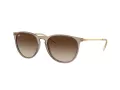 Ray-Ban Erika Sonnenbrille RB 4171 674413