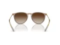 Ray-Ban Erika Sonnenbrille RB 4171 674413