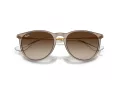 Ray-Ban Erika Sonnenbrille RB 4171 674413