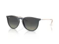 Ray-Ban Erika Sonnenbrille RB 4171 681311