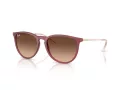 Ray-Ban Erika Sonnenbrille RB 4171 6815A5