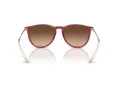 Ray-Ban Erika Sonnenbrille RB 4171 6815A5