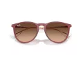 Ray-Ban Erika Sonnenbrille RB 4171 6815A5