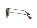 Ray-Ban Erika Sonnenbrille 4171 710/T5