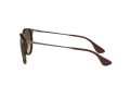 Ray-Ban Erika Sonnenbrille RB 4171 865/13