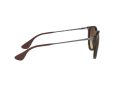 Ray-Ban Erika Sonnenbrille RB 4171 865/13