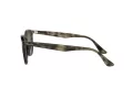Ray-Ban Sonnenbrille RB 4259 731/E8