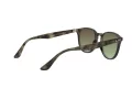 Ray-Ban Sonnenbrille RB 4259 731/E8