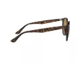 Ray-Ban Sonnenbrille RB 4305 710/83