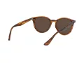 Ray-Ban Sonnenbrille RB 4305 820/73