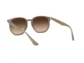Ray-Ban Sonnenbrille RB 4306 616613
