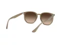Ray-Ban Sonnenbrille RB 4306 616613