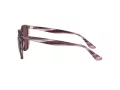 Ray-Ban Sonnenbrille RB 4306 6431/75