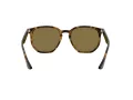 Ray-Ban Sonnenbrille RB 4306 710/73