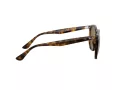 Ray-Ban Sonnenbrille RB 4306 710/73