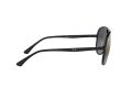 Ray-Ban Sonnenbrille RB 4320/CH 601/J0