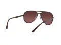 Ray-Ban Sonnenbrille RB 4320/CH 710/6B
