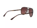 Ray-Ban Sonnenbrille RB 4320/CH 710/6B