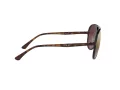 Ray-Ban Sonnenbrille RB 4320/CH 710/6B