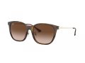 Ray-Ban Sonnenbrille RB 4333D 710/13