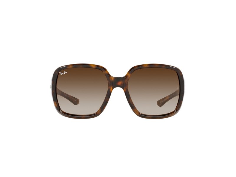 Ray-Ban Powderhorn Sonnenbrille RB 4347 710/13