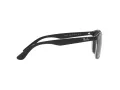 Ray-Ban Sonnenbrille 4374 603948