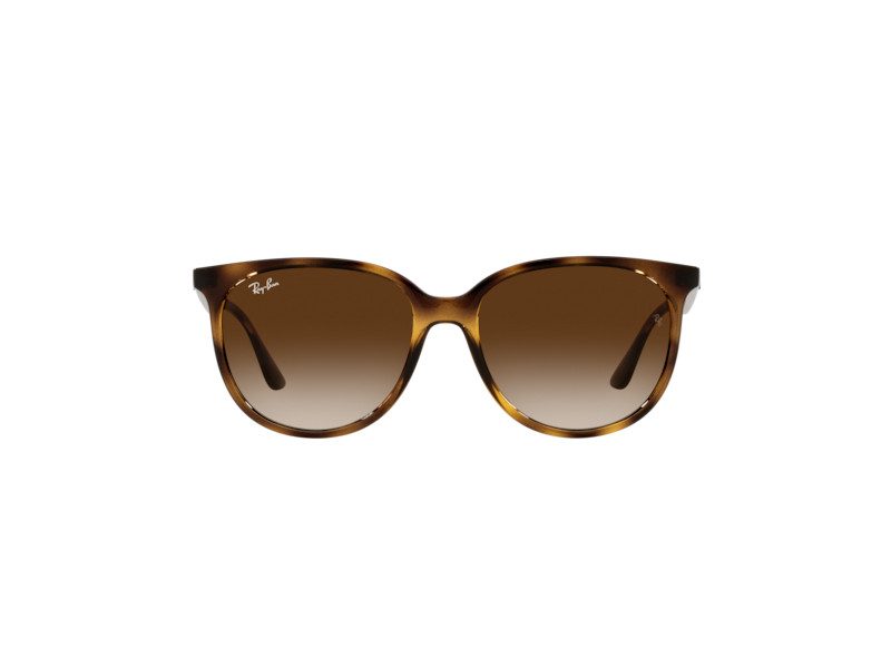 Ray-Ban Sonnenbrille RB 4378 710/13