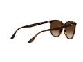 Ray-Ban Sonnenbrille 4378 710/13