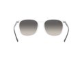 Ray-Ban Sonnenbrille RB 4387 6477/11