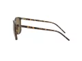 Ray-Ban Sonnenbrille RB 4387 710/73