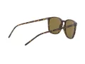 Ray-Ban Sonnenbrille RB 4387 710/73