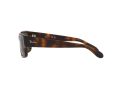 Ray-Ban Sonnenbrille RB 4388 710/31